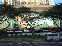 Blk 435 Clementi Avenue 3 (Clementi), HDB 3 Rooms #120556402